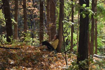 picture of Forest Bathing Event