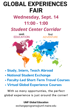 picture of global experiences fair flyer