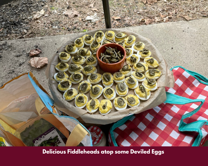 Deviled eggs with fiddleheads 