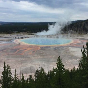 Grand Prismatic Spring, a well-known Yellowstone thermal feature and the largest hot spring in the United States.