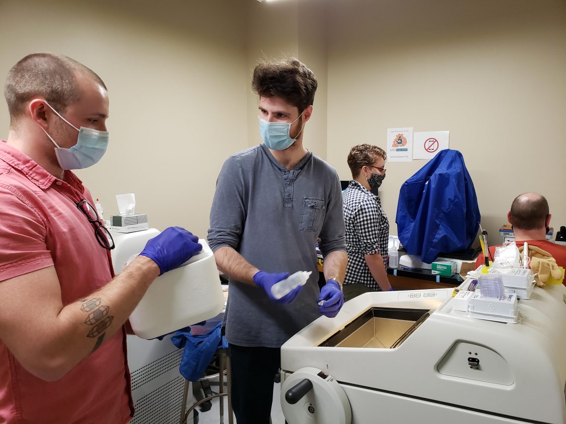 : UMF students (left to right) William Sampson, Andrew Wilcox, and Anyssa Phaneuf work with UMF Biology faculty member Timothy Breton (far right) to process animal tissues for analysis on a recent trip to MDI Biological Laboratory.