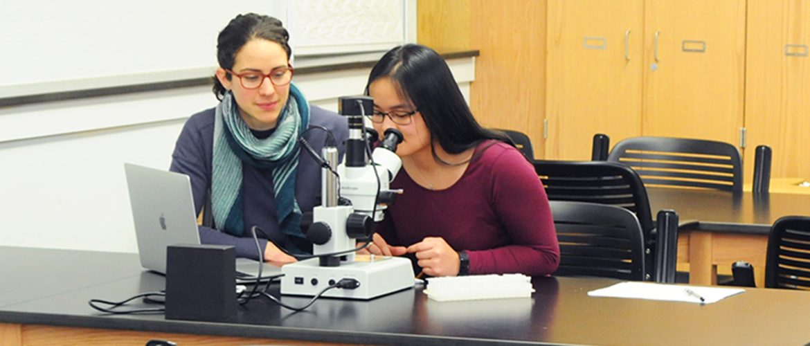 Student and professor using microscope