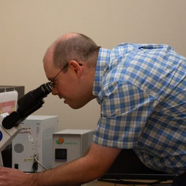 Professor Breton at work at a microscope